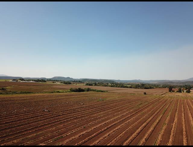 20HA FARM FOR SALE IN WEENEN